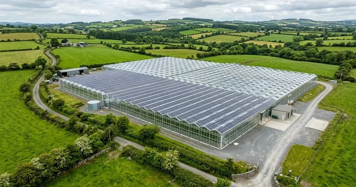 Agri-PV solar panels integrated onto the roof of a commercial agricultural greenhouse in rural Ireland — SolarNevs spec card