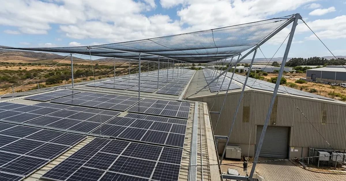 Commercial solar PV installation on an industrial rooftop with protective hail netting overhead. — SolarNevs spec card